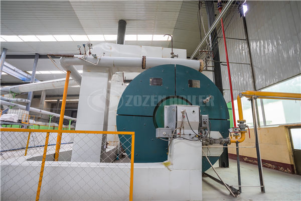 定西六吨生物质热水锅炉,中正锅炉建立合肥锅炉专卖店